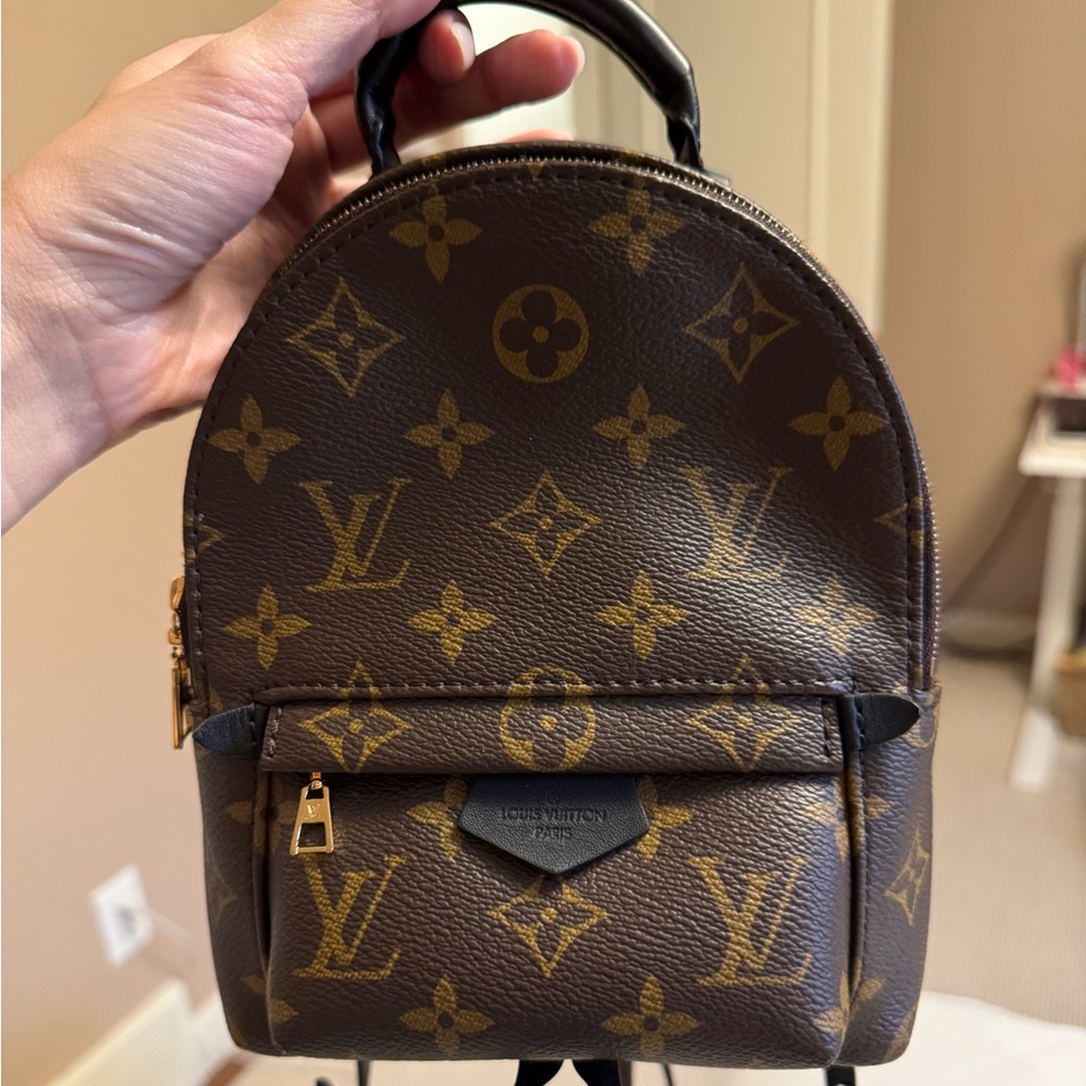 Louis Vuitton Palm Springs Mini Backpack